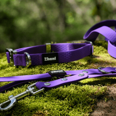 Purple dog leash and matching collar with silver hardware, laid out on a mossy forest path.