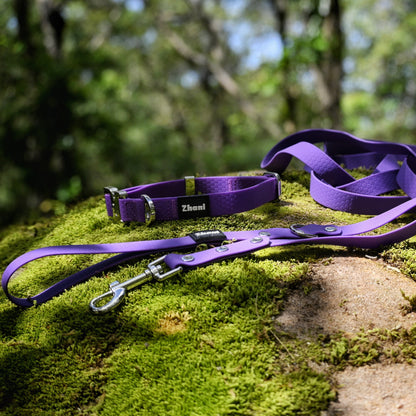 Purple dog leash and collar on a mossy rock with a forest background