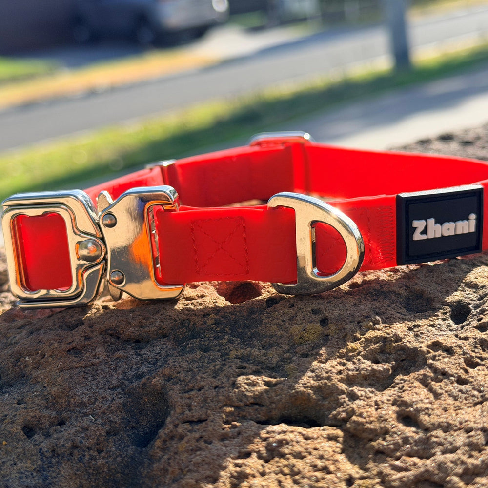 Zhani Red Collar