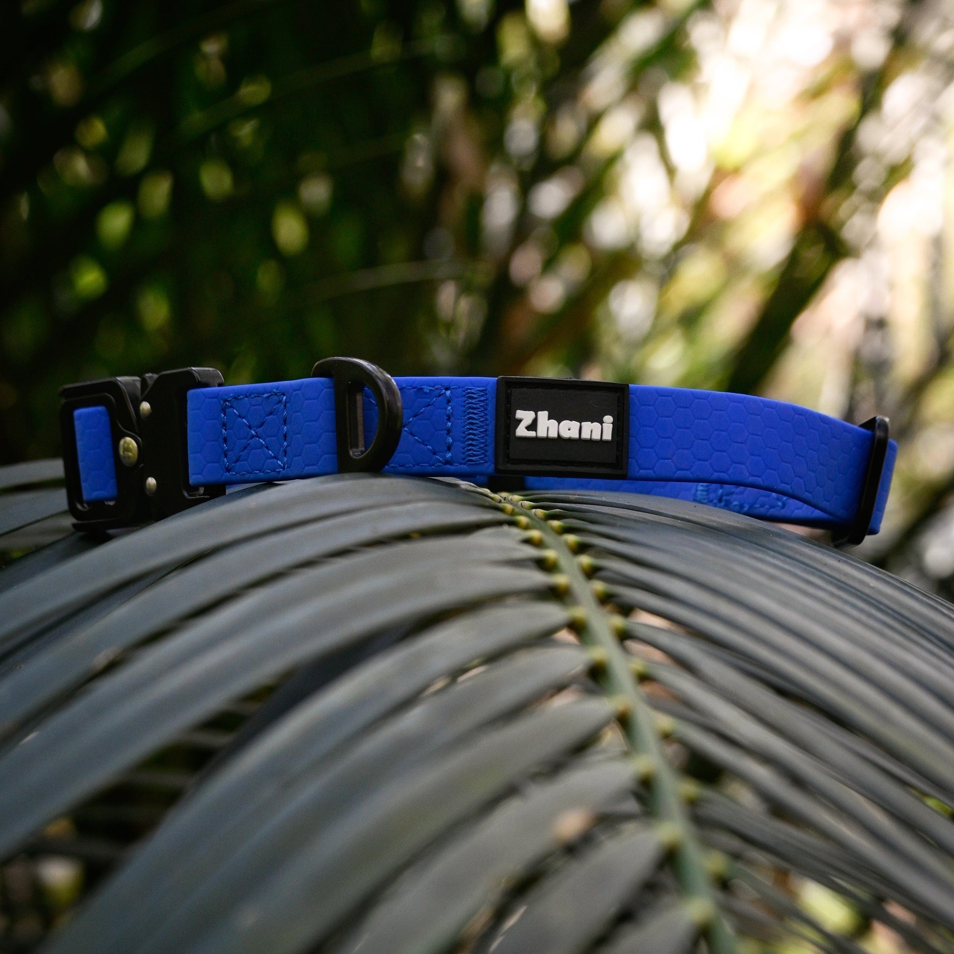Blue dog collar with 'Zhani' branding on a green leaf background