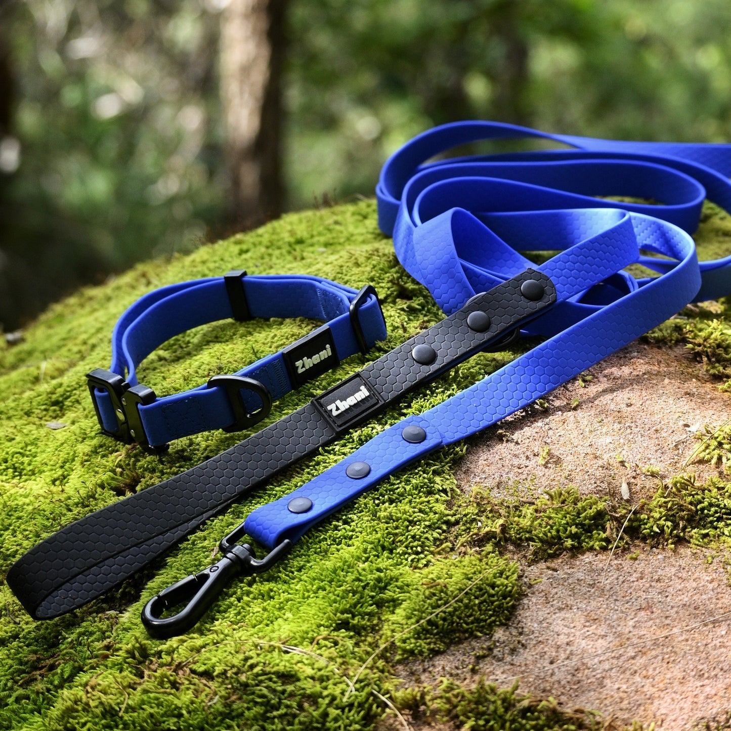 Royal blue and black dog collar and leash set on a mossy rock with a blurred natural background