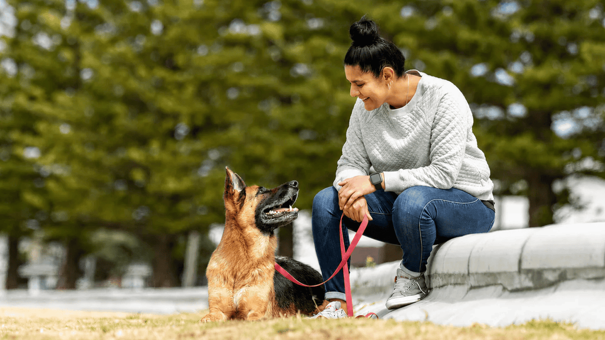Woman sitting on a bench with a German Shepherd dog in an outdoor setting