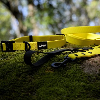Yellow dog collar and leash on a stone surface with blurred greenery in the background