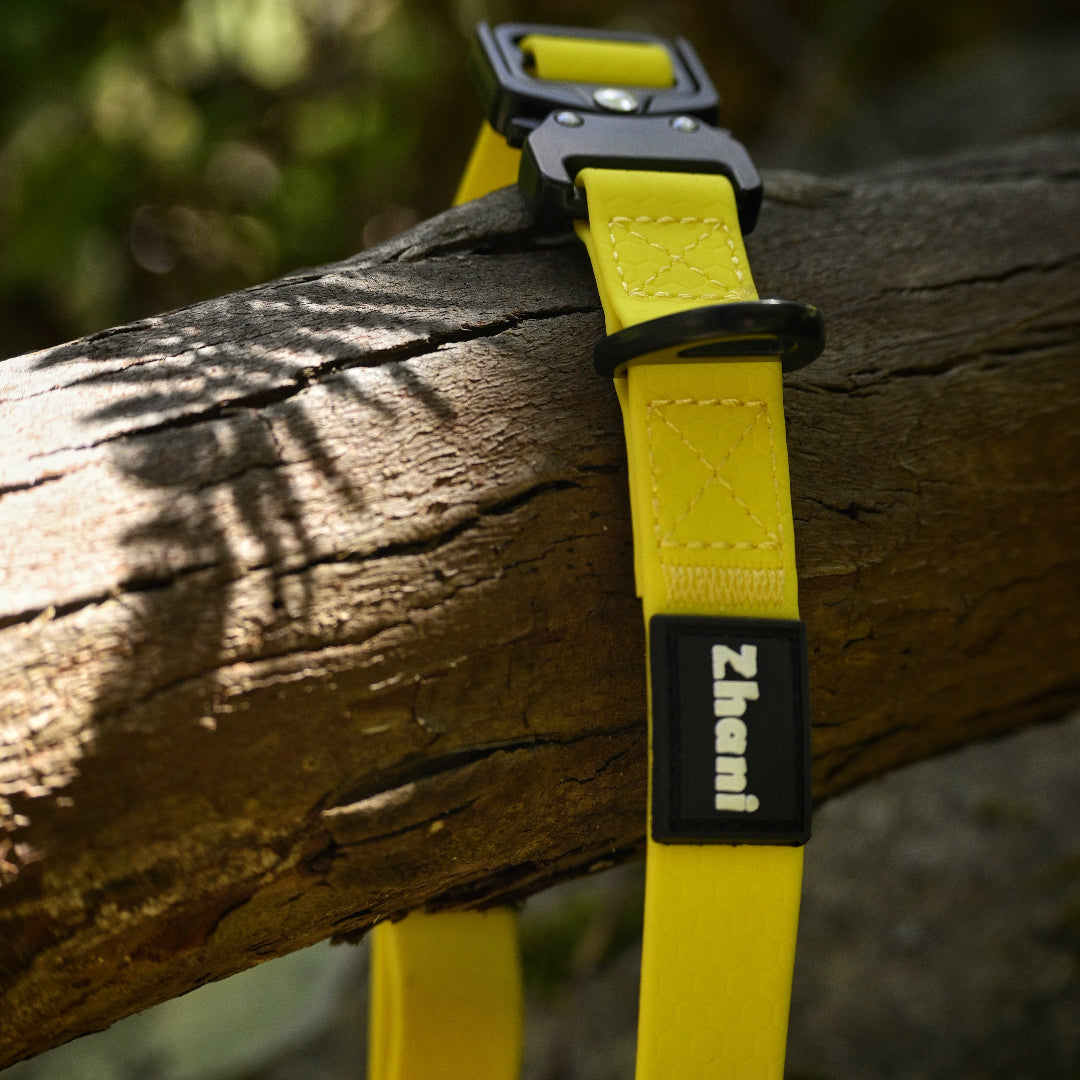 Yellow Zhani Collar attached to a tree branch