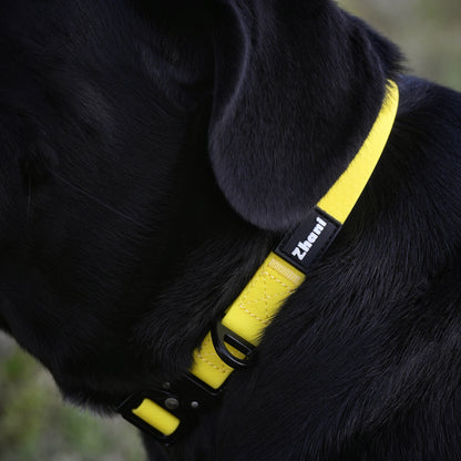 Black dog wearing a yellow collar with Zhani logo.