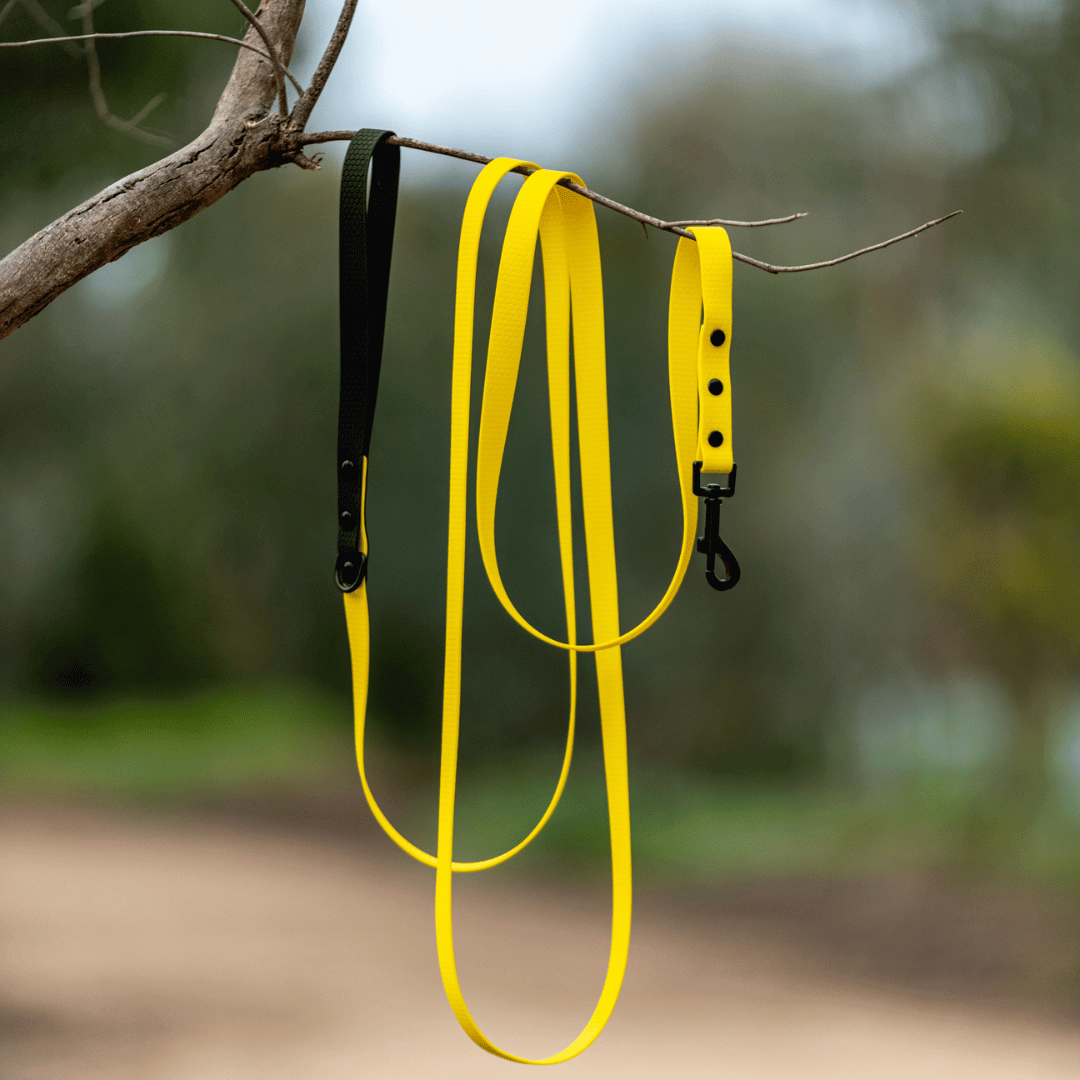 Yellow with Black Handle - Long Line Dog Lead; Washable; Light; Strong; Comfortable; Waterproof