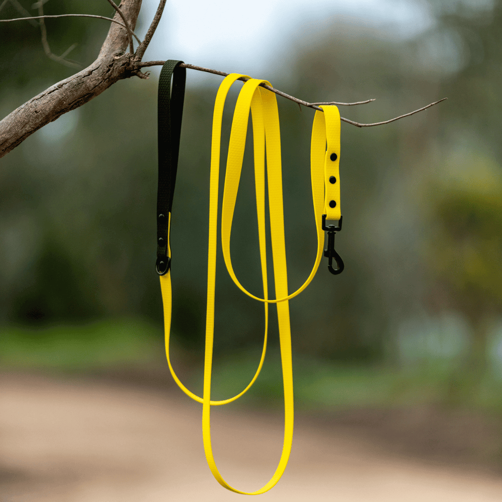 Yellow with Black Handle - Long Line Dog Lead; Washable; Light; Strong; Comfortable; Waterproof