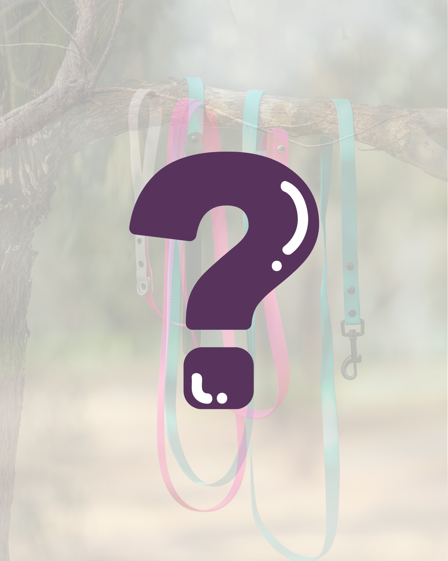 Zhani Mystery Lead Pack - Save 20%