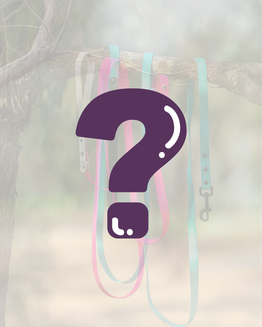 Zhani Mystery Lead Pack - Save 20%