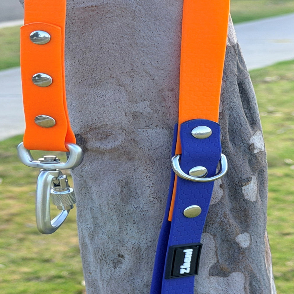Orange and blue zhani dog leash
