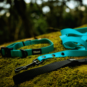 Bundle & Save 15% - Aqua Set