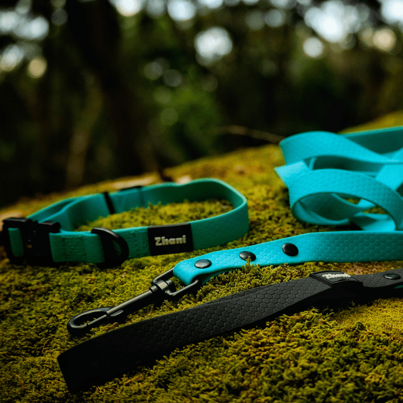 A set of pet accessories including a turquoise dog collar and matching leash with a black handle, laid out on a mossy log outdoors.