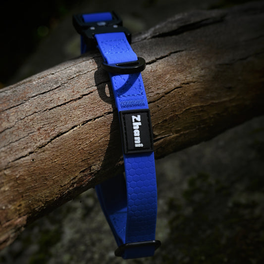 Royal Blue dog collar with Zhani brand logo on a wooden surface