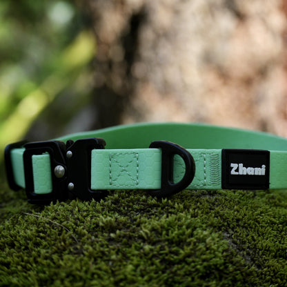 Mint dog collar with black buckle on a mossy surface