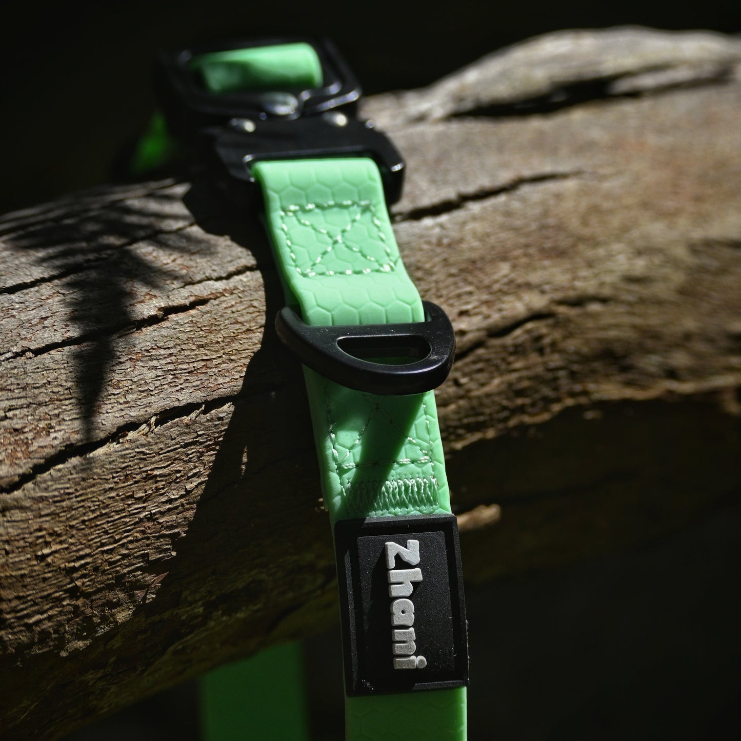 Mint dog collar with black buckle on a wooden surface