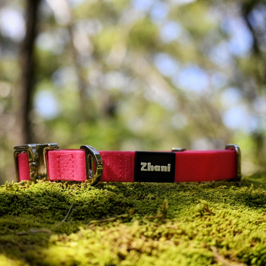 Pink dog collar with 'Zhani' branding on a grassy background