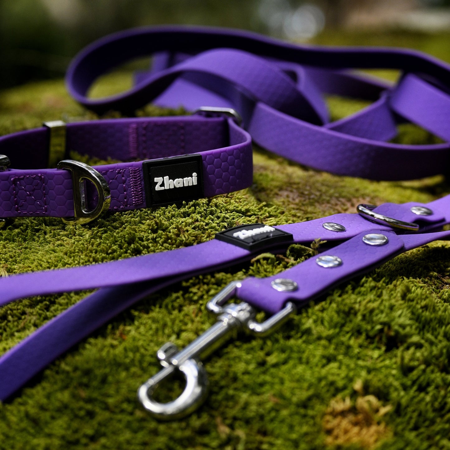 Purple dog collar and leash with 'Zhani' branding on a grassy background