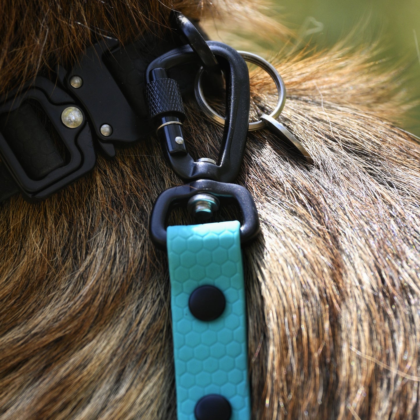 Close-up of aqua dog lead with carabiner hook