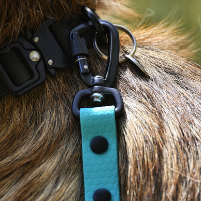 Close-up of aqua dog lead with carabiner hook