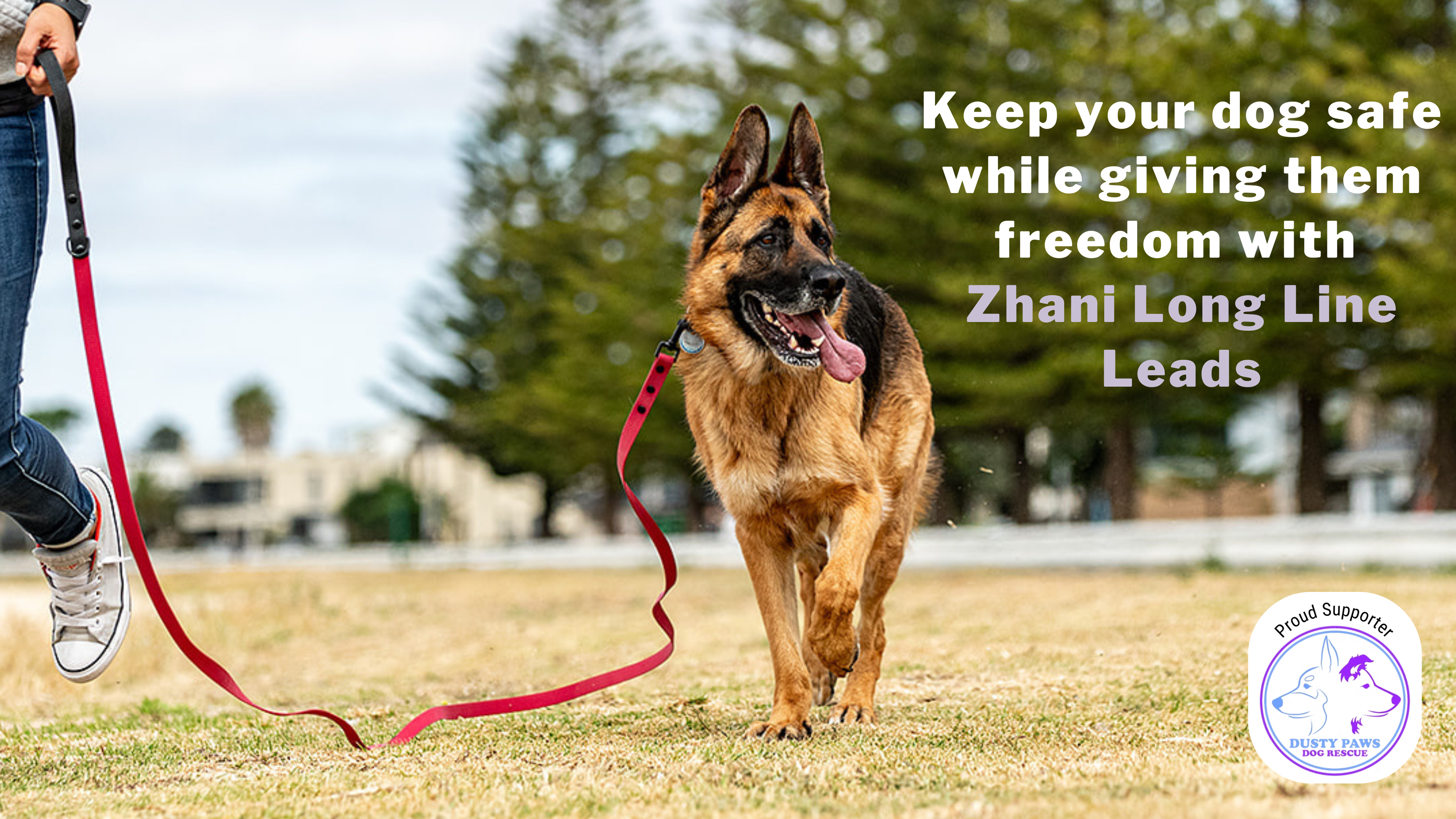 Dog on a maroon leash with text about Zhani Long Line Leads in an outdoor setting.