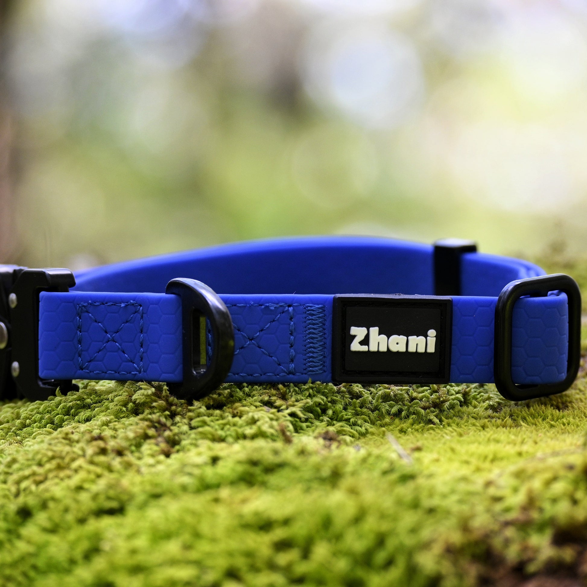Royal Blue dog collar with 'Zhani' branding on a grassy background