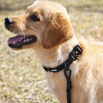 Black - Long Line Dog Lead; Washable; Light; Strong; Comfortable; Waterproof; Collar;