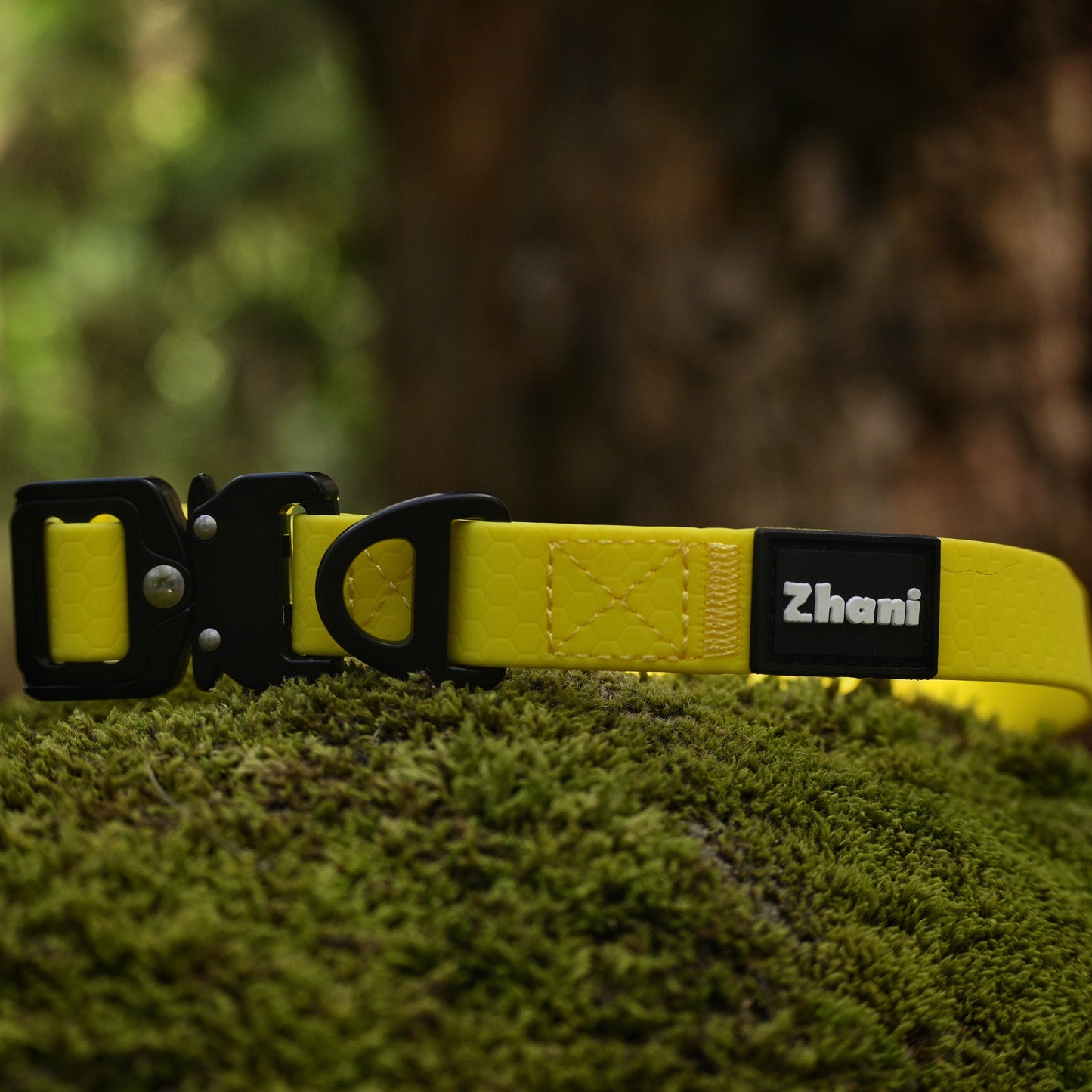 Yellow dog collar with black buckle on a mossy surface