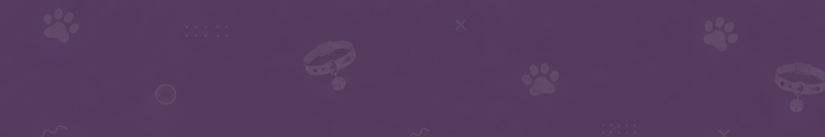 Zhani Dog Accessories Banner Image
