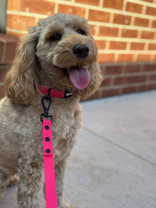 Pink & Black - Long Line Dog Lead; Washable; Light; Strong; Comfortable