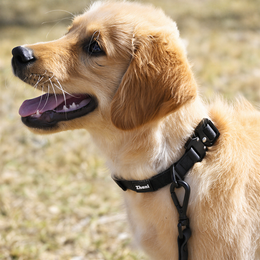 Black - Long Line Dog Lead; Washable; Light; Strong; Comfortable
