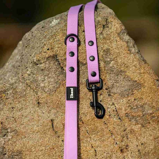 Lilac Long long on rock