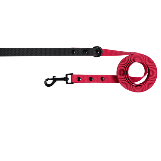 Zhani maroon dog long line lead on white background