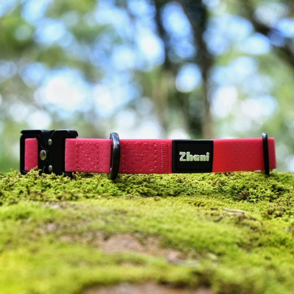 Zhani pink dog collar on moss